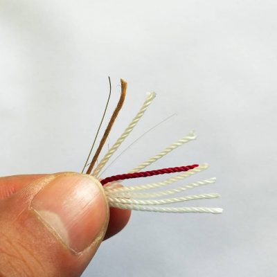 رشته های موجود در بند پاراکورد فینو